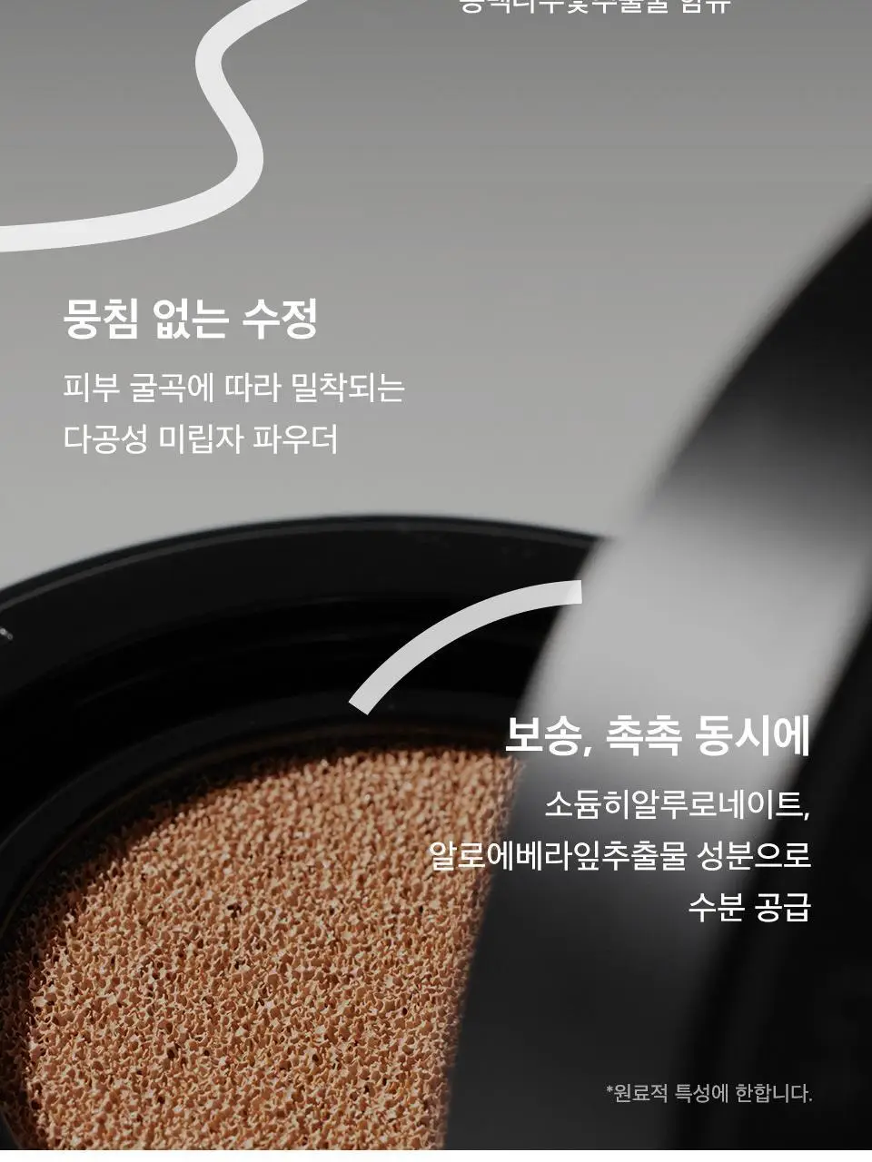 [단독기획] 자빈드서울 윙크 파운데이션 팩트 15g [리필기획] 상세페이지 17
